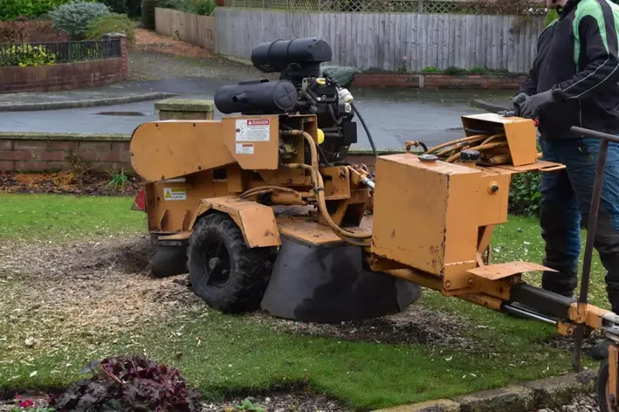 Is Tree Stump Grinding Necessary After Tree Removal Overland Park, KS