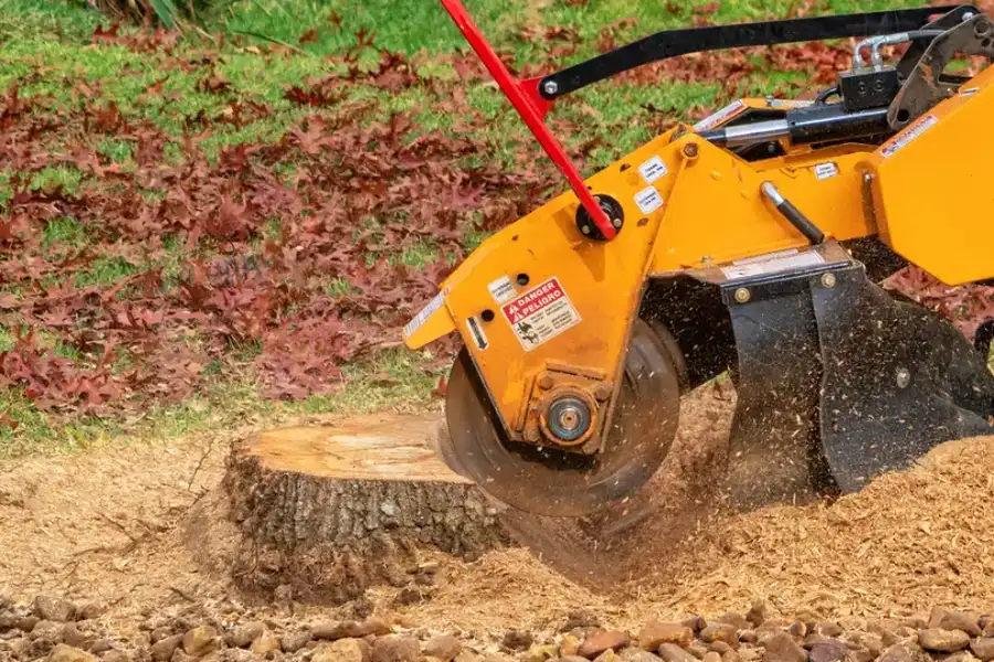 Quality Tree Stump Grinding Overland Park, KS