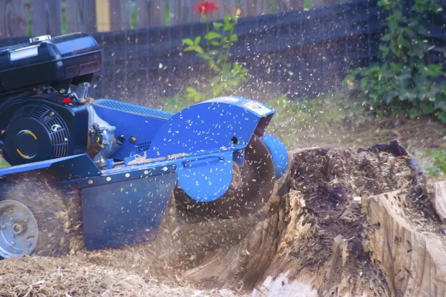 Reputable Tree Stump Grinding Overland Park, KS