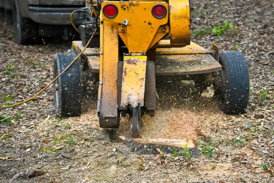The Environmental Impact Of Tree Stump Grinding Explained in Overland Park, KS